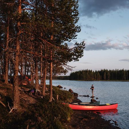Wildact Adventure Ab Storberg Exterior foto